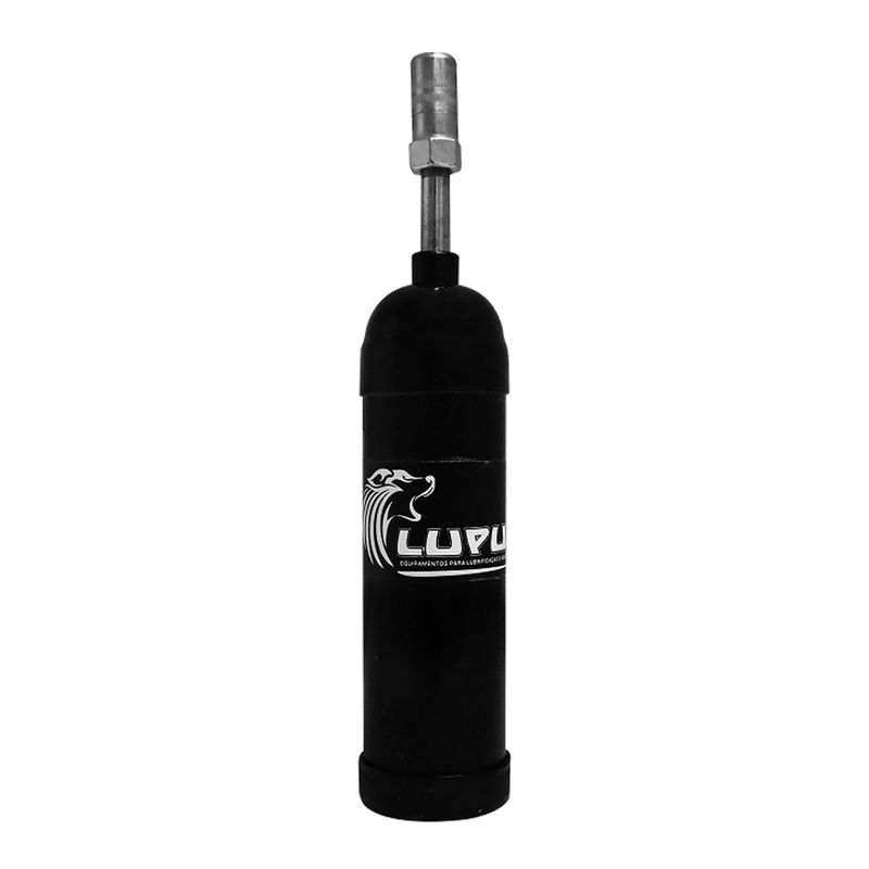 2015-F_1_LUITEX